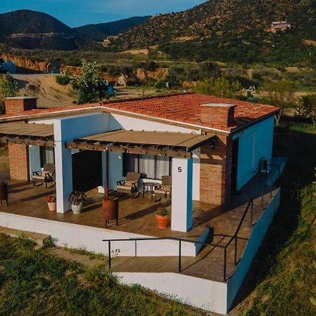 Quinta Sofia Valle De Guadalupe (Adults Only) Bagian luar foto