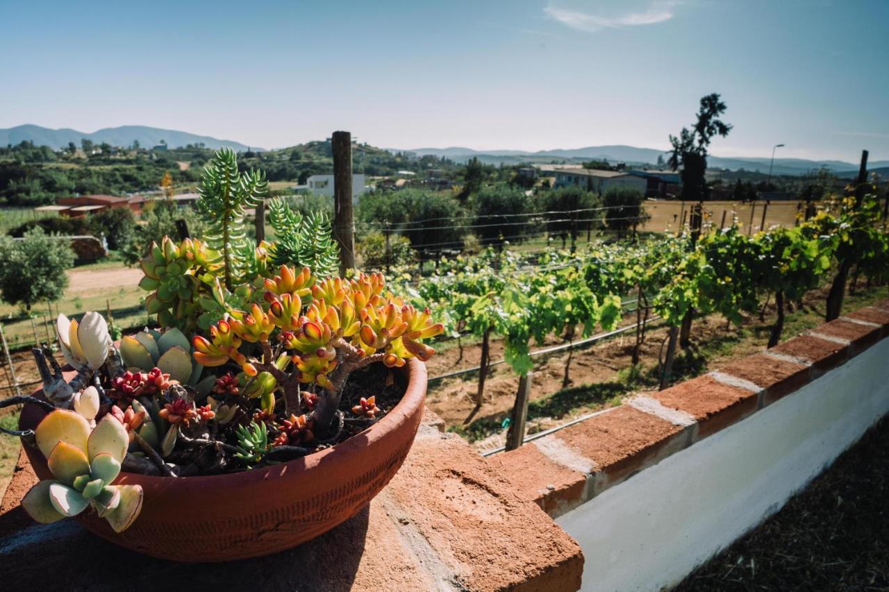 Quinta Sofia Valle De Guadalupe (Adults Only) Bagian luar foto