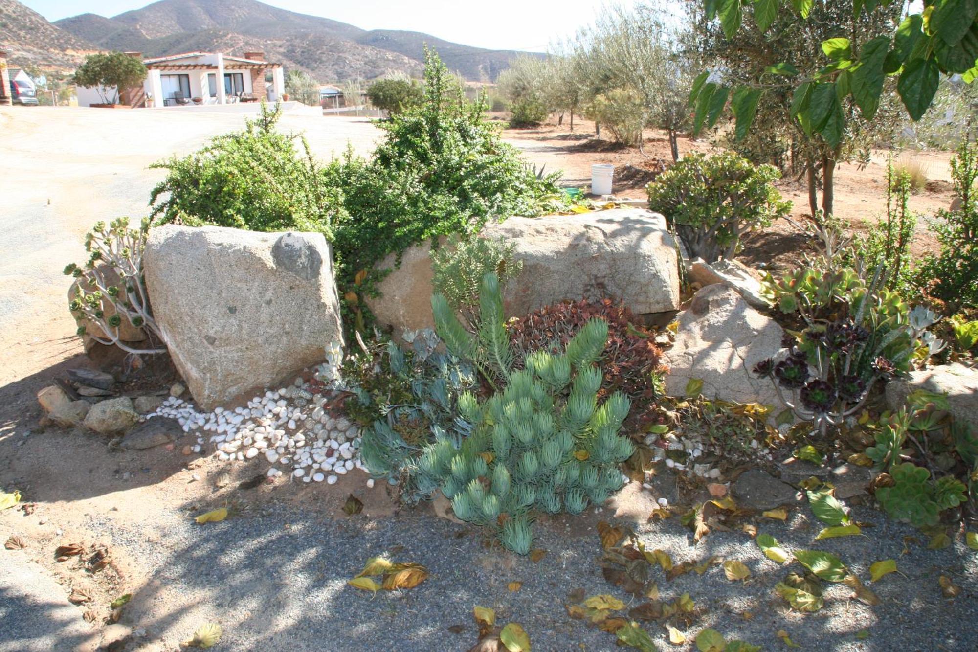 Quinta Sofia Valle De Guadalupe (Adults Only) Bagian luar foto