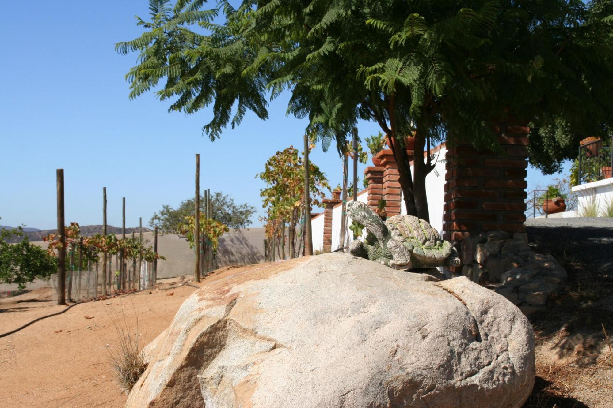 Quinta Sofia Valle De Guadalupe (Adults Only) Bagian luar foto