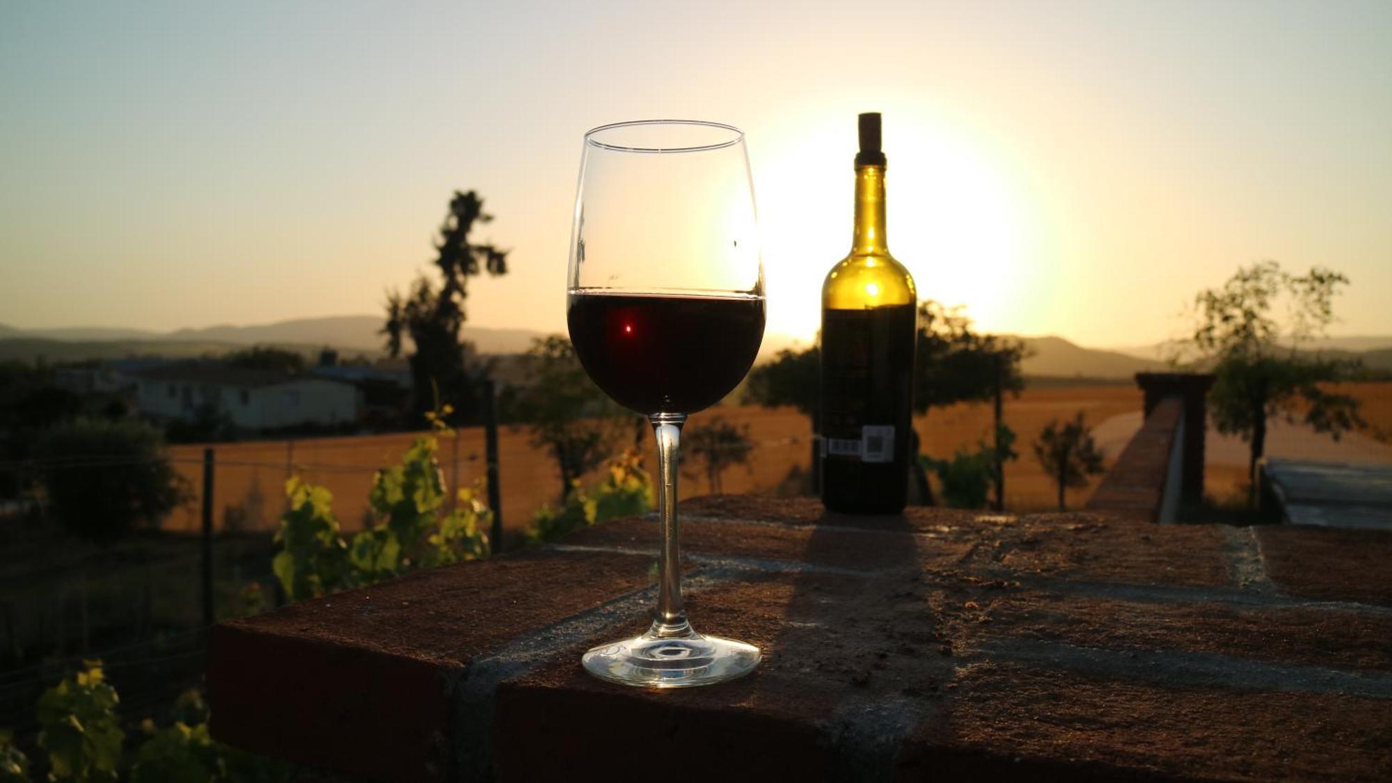 Quinta Sofia Valle De Guadalupe (Adults Only) Bagian luar foto