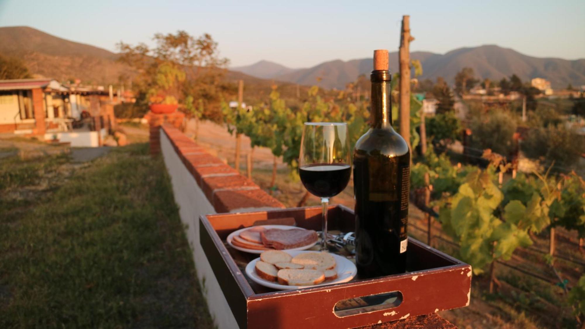 Quinta Sofia Valle De Guadalupe (Adults Only) Bagian luar foto